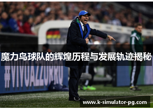 魔力鸟球队的辉煌历程与发展轨迹揭秘